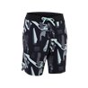 ION Boardshorts Ionic 19" men black