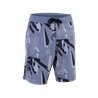 ION Boardshorts Ionic 19" men slate-blue