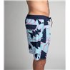 Duotone Boardshorts DT Originals 19inch men sky-blue