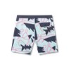 Duotone Boardshorts DT Originals 19inch men sky-blue