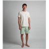 Duotone Shorts True Beach men sage