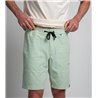 Duotone Shorts True Beach men sage
