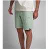 Duotone Shorts True Beach men sage