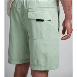 Duotone Shorts True Beach men sage