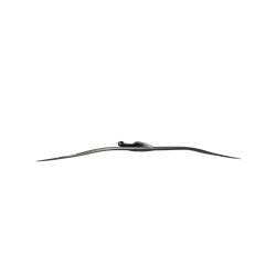Duotone Foilpart Front Wing  Blitz D/LAB