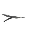 Duotone Foilpart Front Wing  Blitz D/LAB