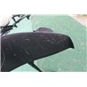Slingshot PFI 835/710 Rentalfoil Package