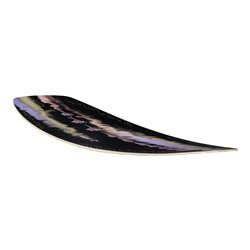 Slingshot Copycat Pro 2026