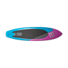 ENSIS WALTZ Downwind Board