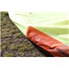 Slingshot Ghost V3 Schoolkite