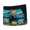 Mystic Dazzeld Boardshort Women zebra blue
