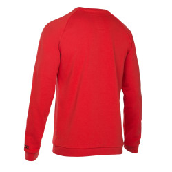 46802-5202.666  - ION Sweater Logo blaze