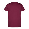 35105.210036  - Mystic Brand Tee Women burgundy