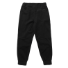 35106.230075  - Mystic The Heat Jogger Pant black