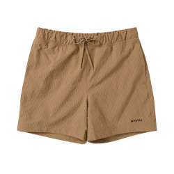 Mystic Continent Shorts slate brown