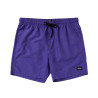 Mystic Brand Swimshorts purple