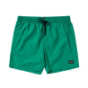 Mystic Brand Swimshorts bright green
