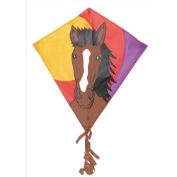 Eddy Bronco